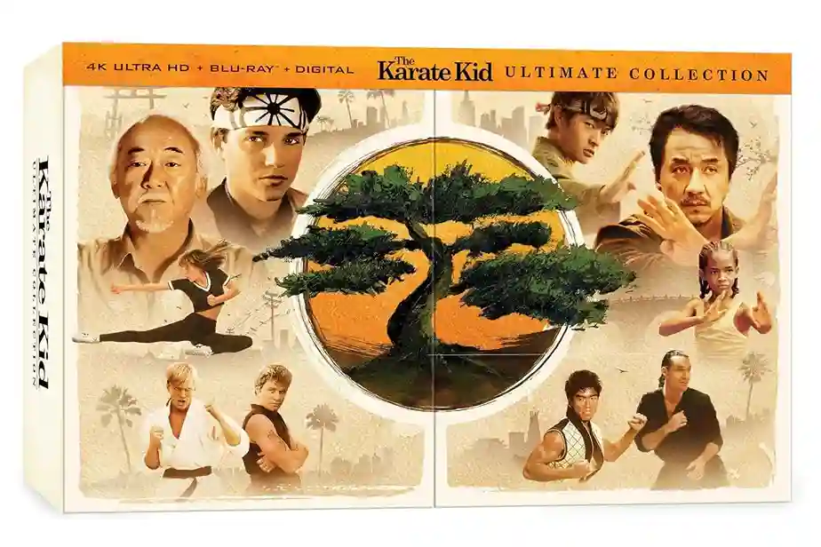 Karate Kid Legends Review