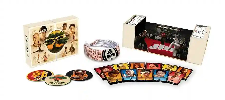 Karate Kid Legends Review