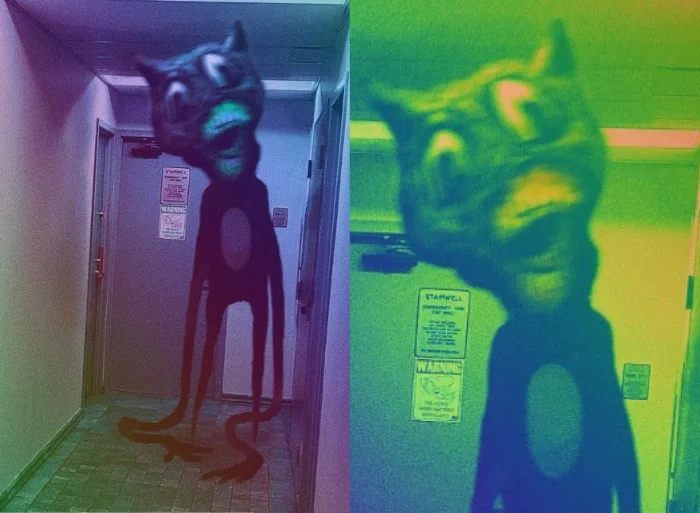 Cartoon Cat Urban Legend